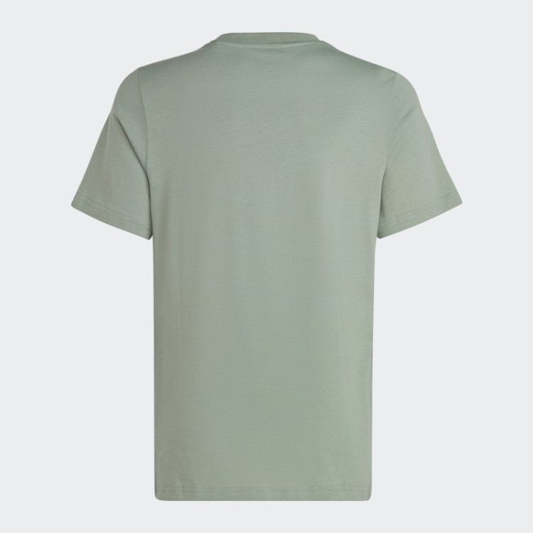 Camiseta Adicolor Verde Prata Adidas