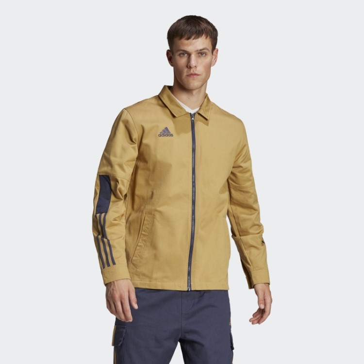 Overshirt Bege Adidas Tiro Dourado