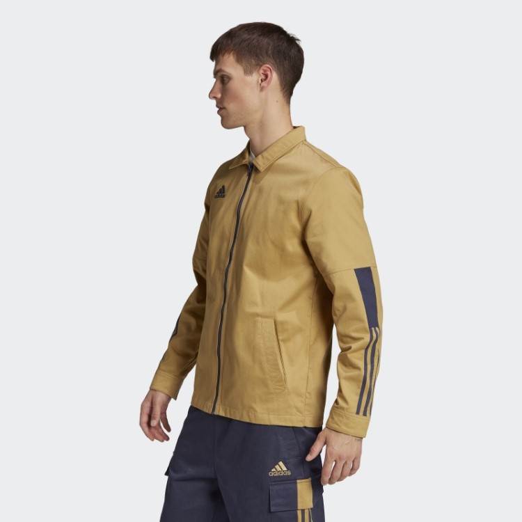 Overshirt Bege Adidas Tiro Dourado