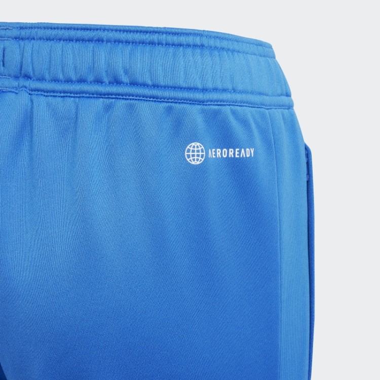 Adidas Royal Fc Bayern Condivo 22 Roupa De Treino Fashion