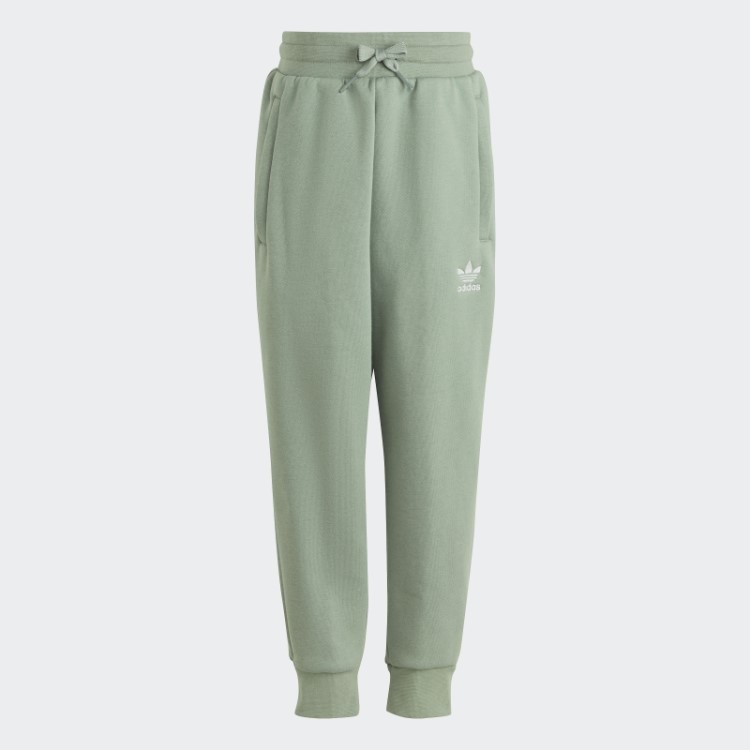 Moletom Com Capuz Adicolor Conjunto Verde Prata Adidas