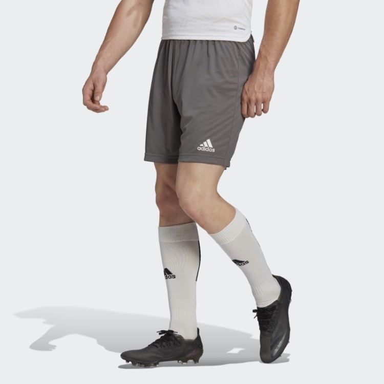Bermuda Cinza Entrada 22 Adidas