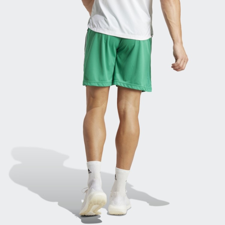 Bermuda Base De Treino Adidas Verde