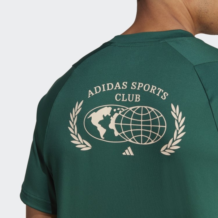 Camiseta Estampada De Clube Esportivo Verde Adidas