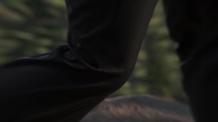 Calça Esportiva Adidas Terrex Liteflex Preta