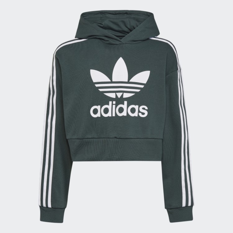 Moletom Cropped Adicolor Verde Mineral Adidas