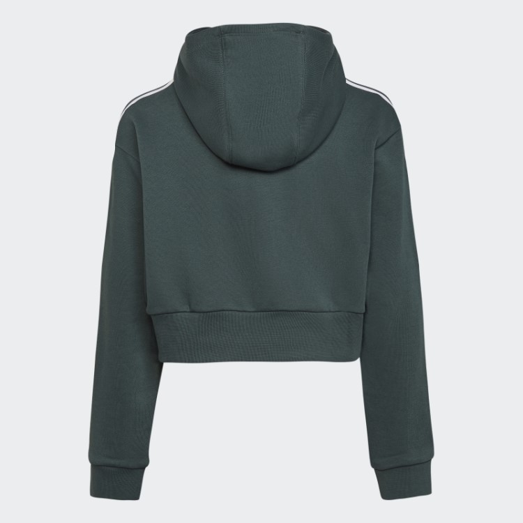 Moletom Cropped Adicolor Verde Mineral Adidas