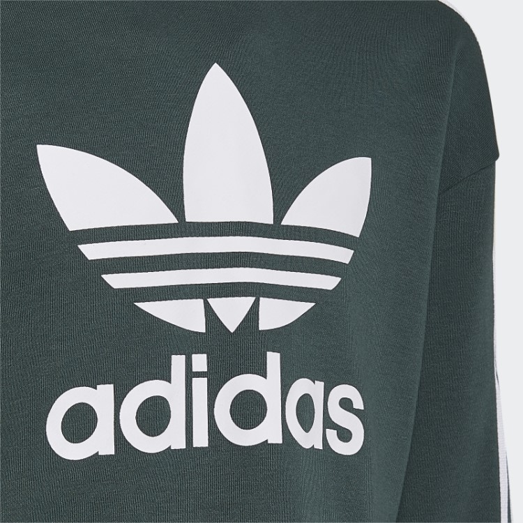 Moletom Cropped Adicolor Verde Mineral Adidas