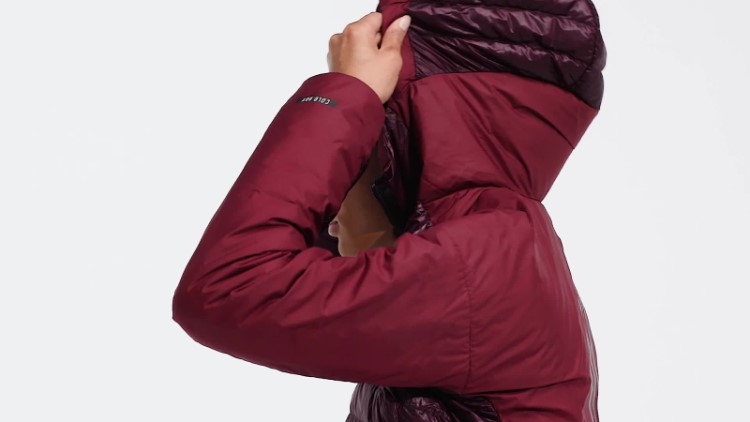 Jaqueta Com Capuz Marrom Terrex Myshelter Adidas