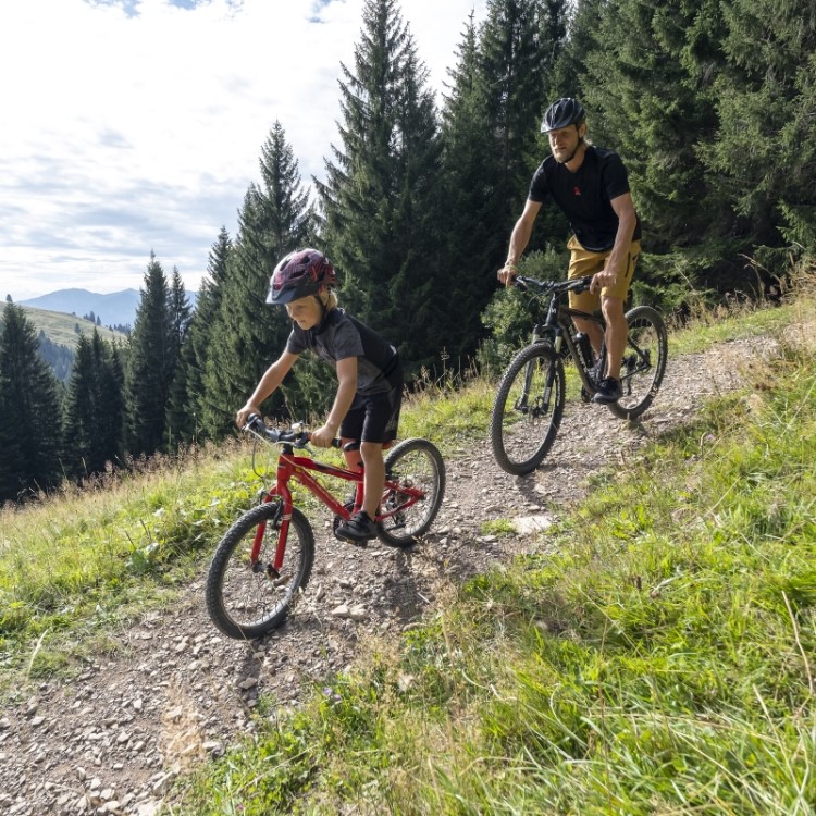 Tênis De Mountain Bike Adidas Five Ten Freerider Cinza