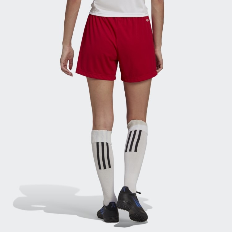 Entrada 22 Shorts Adidas Vermelho