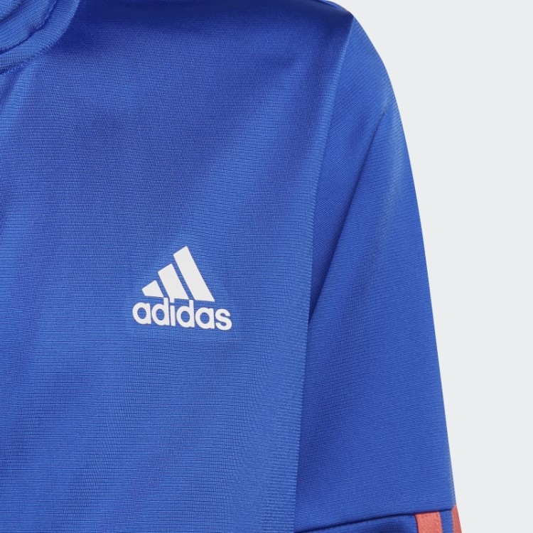 Fato De Treino Da Equipa Com As 3 Riscas Azuis De Alta Resolução Da Adidas