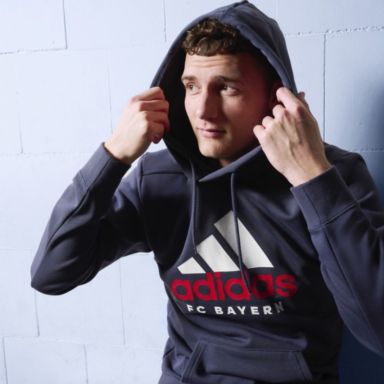 Moletom Adidas Fc Bayern Dna Azul Marinho Com Capuz