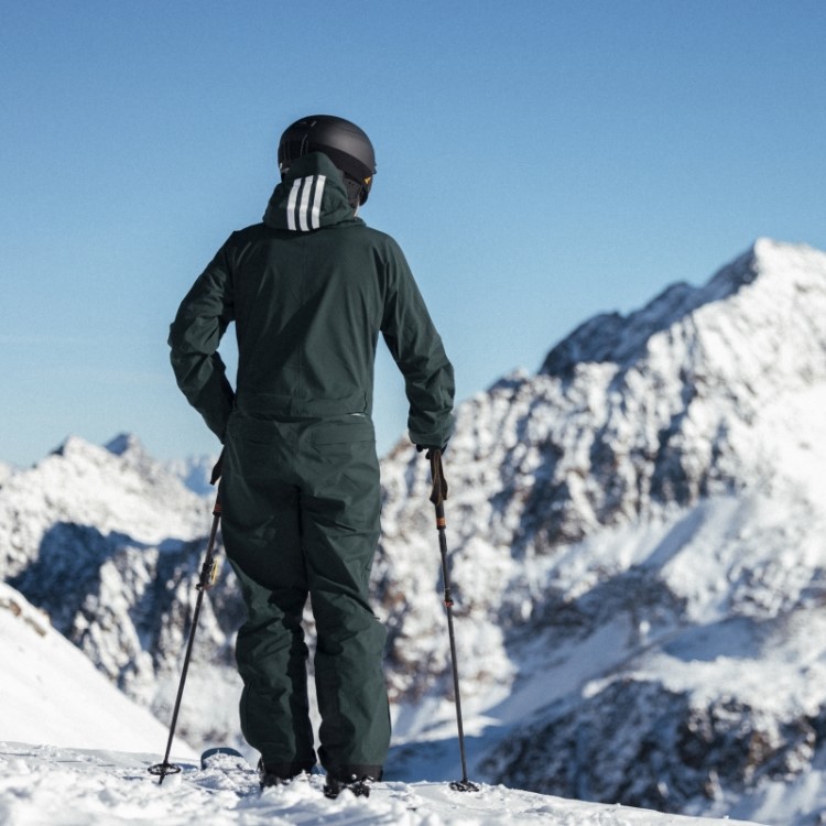 Terno De Neve Gore-tex Terrex De 3 Camadas Verde Adidas