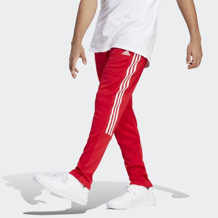 Tiro Terno Estilo De Vida Joggers Adidas Escarlate