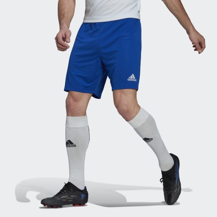Entrada 22 Shorts Adidas Azul Royal