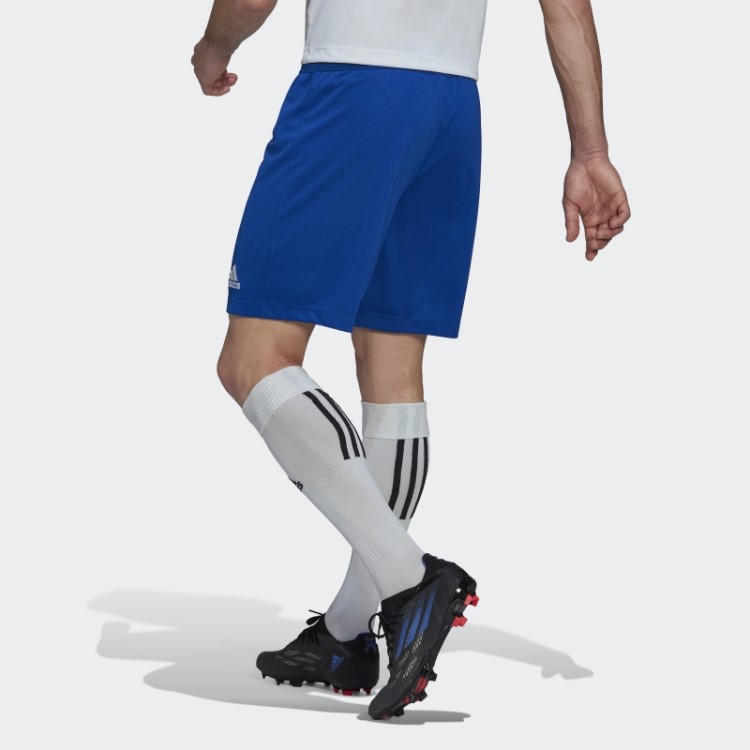 Entrada 22 Shorts Adidas Azul Royal