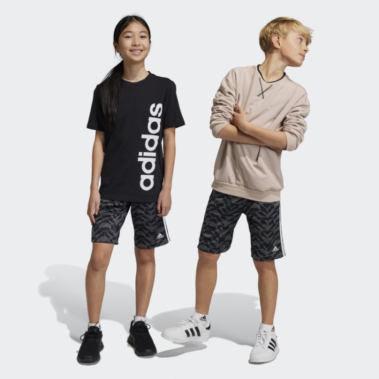 Shorts De Celebração De Futebol Adidas Cinza