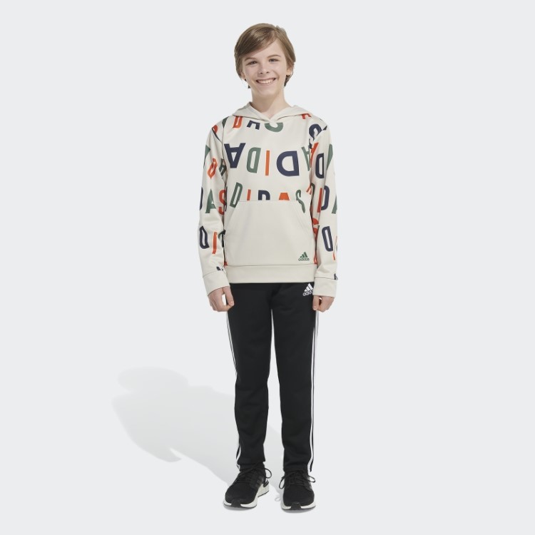 Moletom Com Capuz De Alumínio Adidas Lineage Love