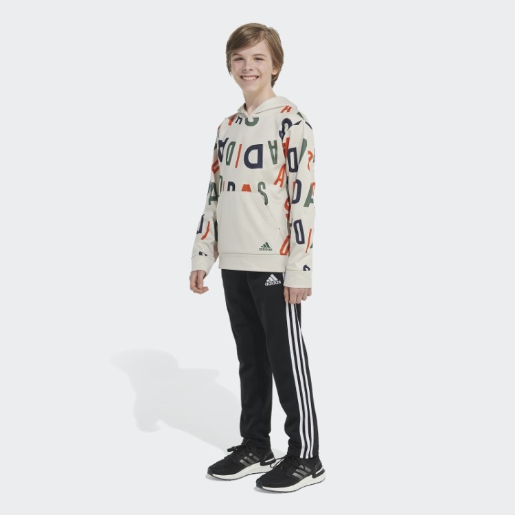 Moletom Com Capuz De Alumínio Adidas Lineage Love