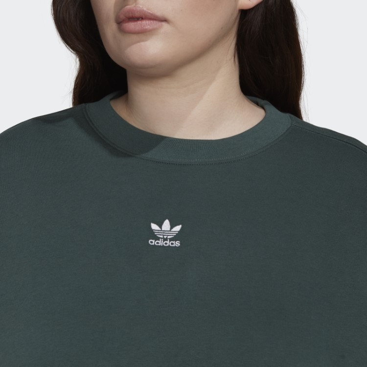 Moletom Verde Mineral Adidas Adicolor Essentials (tamanho Grande)