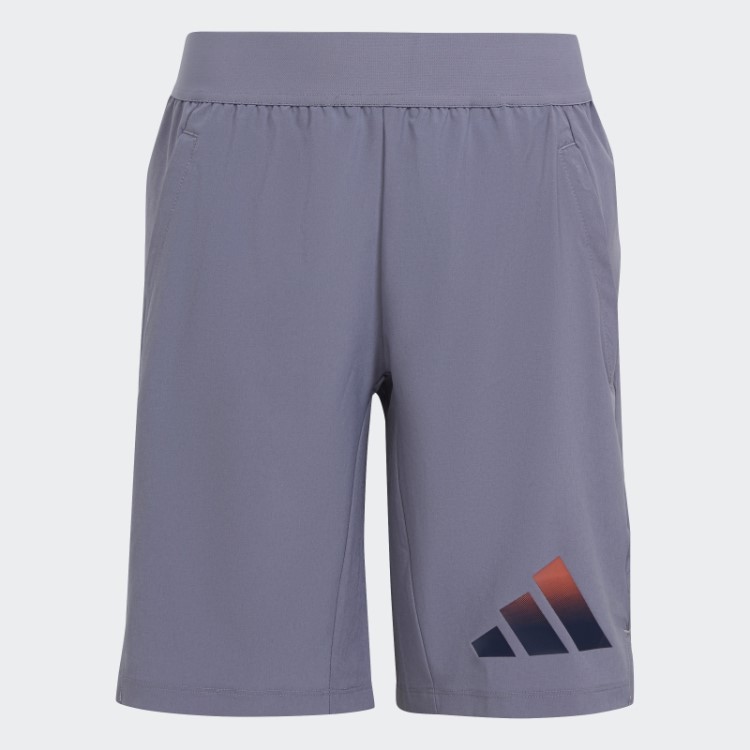 Adidas Train Icons Short Aeroready Logo Tecido Violeta Prateado