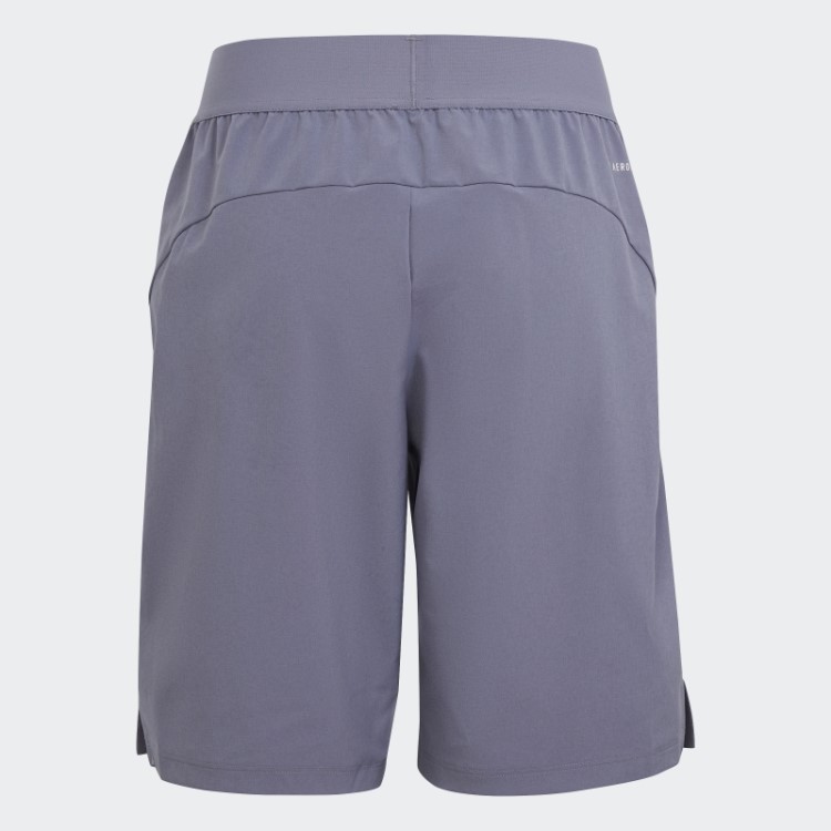 Adidas Train Icons Short Aeroready Logo Tecido Violeta Prateado