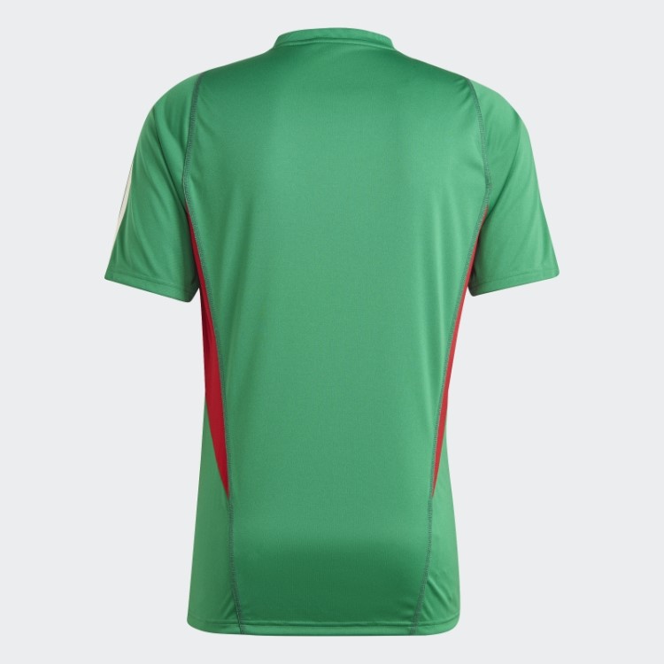 Camisa De Treino Adidas México Tiro 23 Verde